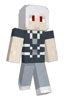 Penguin_coop Minecraft avatar full body