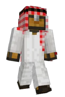 Penguinione Minecraft avatar full body