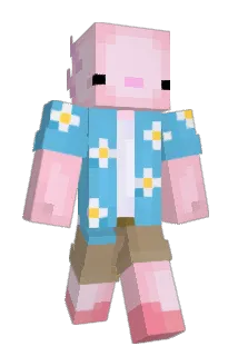 PepeSK_06 Minecraft avatar full body