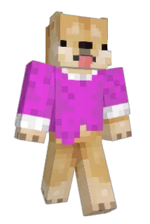 Pepirka Minecraft avatar full body