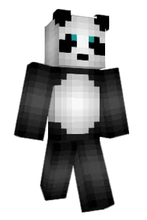 Pepsik155 Minecraft avatar full body