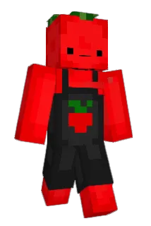Pepsou72250 Minecraft avatar full body