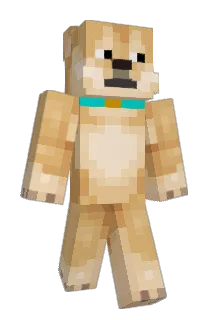 PerchIC Minecraft avatar full body