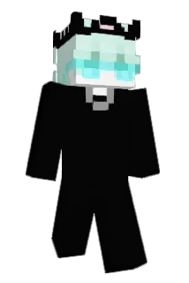 PerfectIy Minecraft avatar full body