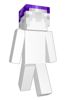 Perfector Minecraft avatar full body