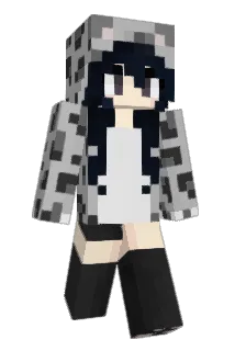 Perquisite Minecraft avatar full body