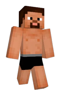 Pervertex Minecraft avatar full body