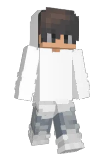 Pesantes2895 Minecraft avatar full body