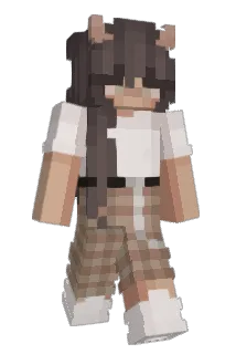 PetAfpakken Minecraft avatar full body