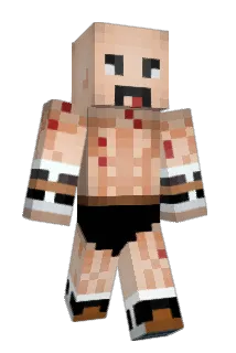 PetBunBun Minecraft avatar full body