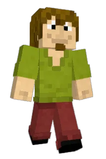 Petandcat Minecraft avatar full body