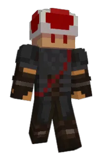 Petision Minecraft avatar full body