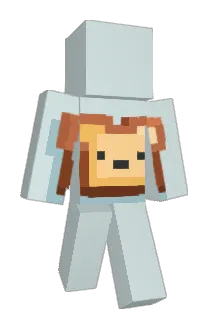 Petttersson Minecraft avatar full body