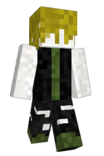 Petukka404 Minecraft avatar full body