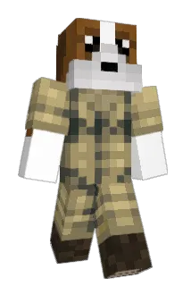 Peverax Minecraft avatar full body