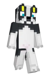 Pg394 Minecraft avatar full body