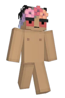 Pgys Minecraft avatar full body