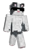 Phayrax Minecraft avatar full body