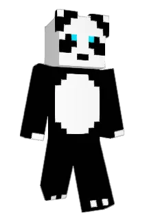 Philiooo23 Minecraft avatar full body