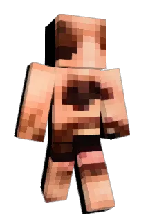 PhilipsAirFryer Minecraft avatar full body