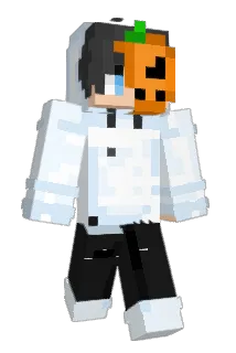 Phill013 Minecraft avatar full body