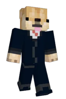 PhineasD Minecraft avatar full body