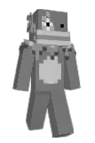 Phisc Minecraft avatar full body