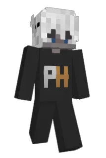 Phixes Minecraft avatar full body