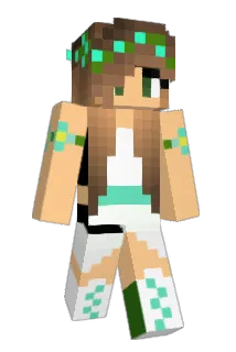 Phlower14 Minecraft avatar full body