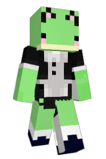 Phog_ Minecraft avatar full body