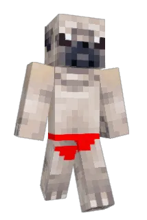 Phop73 Minecraft avatar full body
