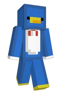 PiFernandes Minecraft avatar full body