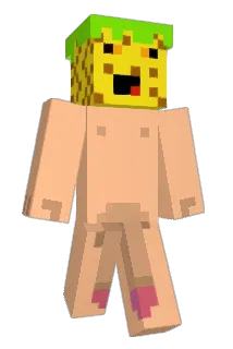 PiPinia Minecraft avatar full body