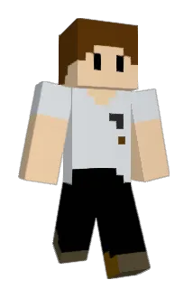 Pi_oter Minecraft avatar full body