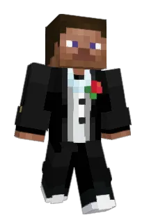 PianoDolphing95 Minecraft avatar full body