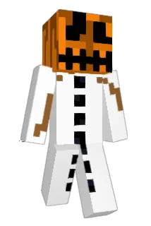 Picadolle Minecraft avatar full body