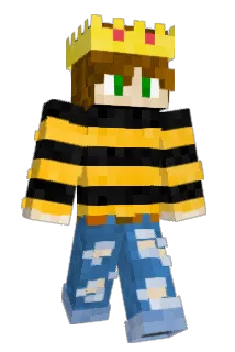 Pickle42069 Minecraft avatar full body