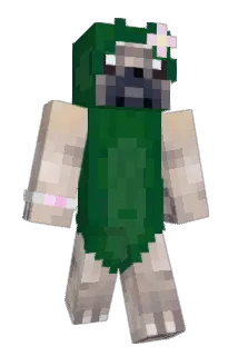 Pickle Minecraft avatar full body