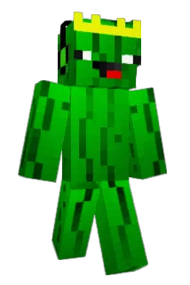 PickleLord123 Minecraft avatar full body