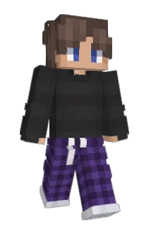 PickleX9 Minecraft avatar full body