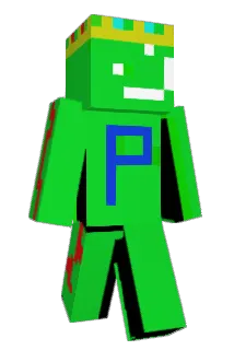 Pickleboyz1 Minecraft avatar full body