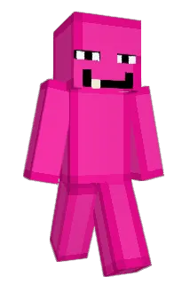 Pickledude9 Minecraft avatar full body