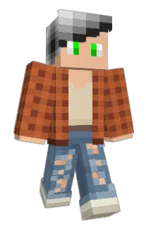 Minecraft-Avatar von Picklell: ganzer Körper