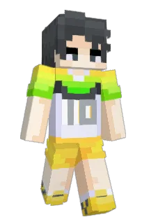 Picklqous Minecraft avatar full body