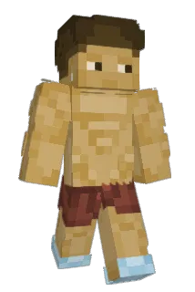 Picklxz Minecraft avatar full body