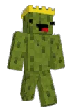 Pickolas_ Minecraft avatar full body