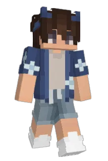 Picutar Minecraft avatar full body