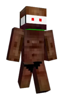 PidgetMornLover Minecraft avatar full body