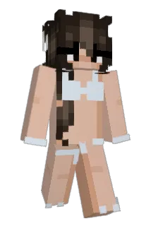 Piet0o Minecraft avatar full body