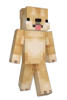 PigDragon309 Minecraft avatar full body